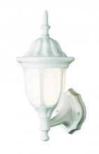  4041 WH - Hamilton 1-Light Opal Glass Traditional Outdoor Wall Lantern
